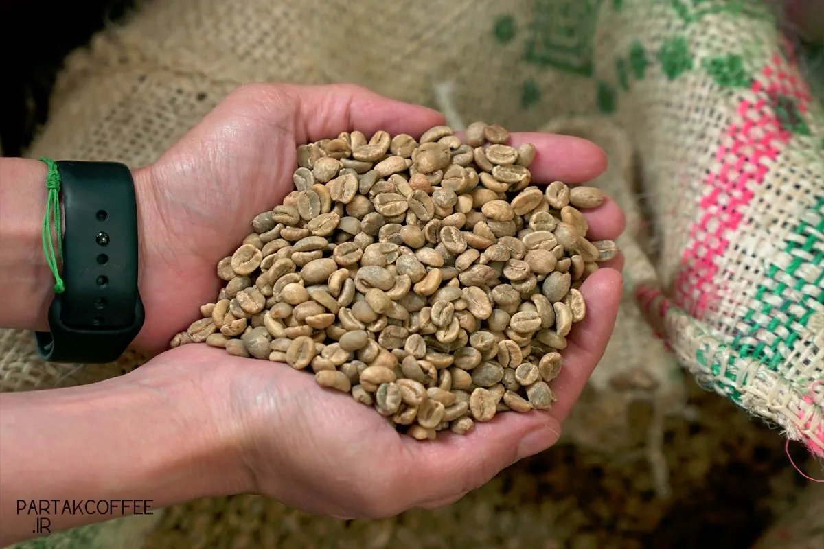 طعم قهوه عربیکا اصل