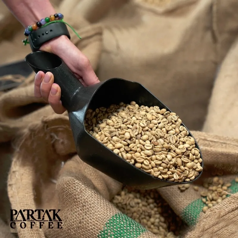 معرفی انواع قهوه عربیکا