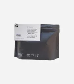 السالوادور پورتیلو ان روبیک