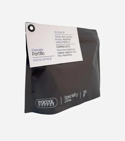 السالوادور پورتیلو ان روبیک