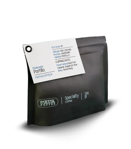 السالوادور پورتیلو ان روبیک