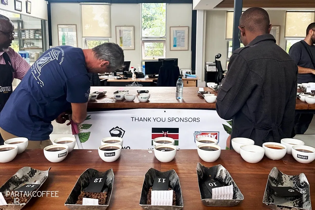 چه چیزی یک قهوه را تخصصی می‌کند