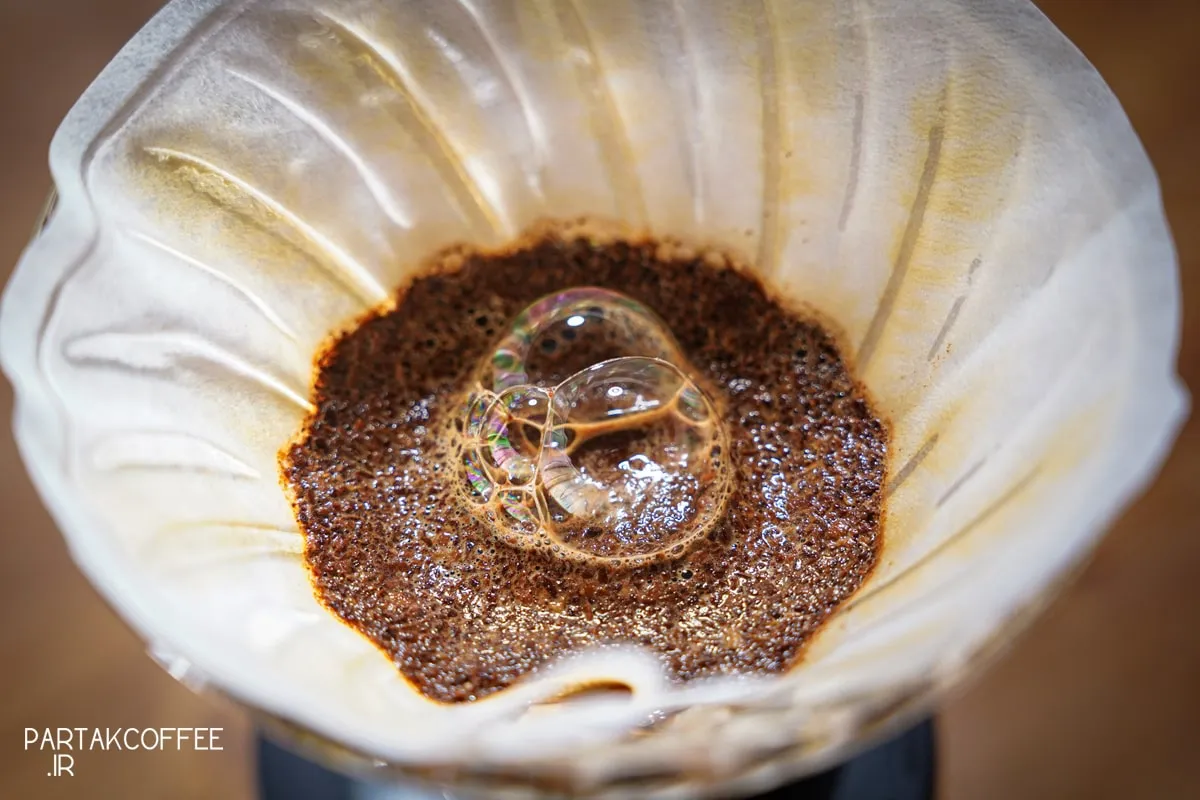 بلومینگ قهوه چیست؟ بررسی علمی شکوفایی و تأثیر آن بر طعم 1 بلومینگ قهوه چیست؟