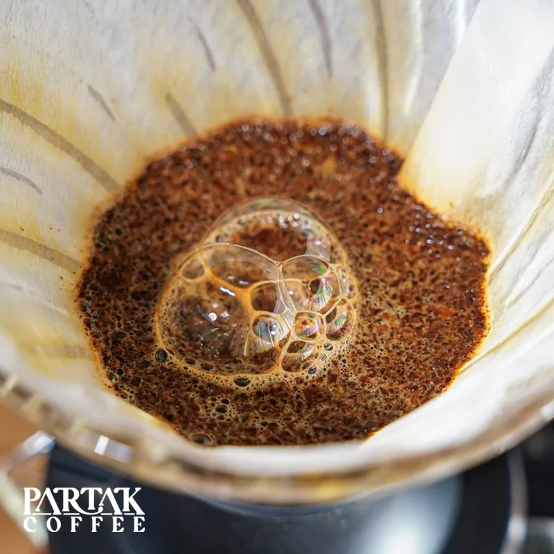 بلومینگ قهوه چیست؟