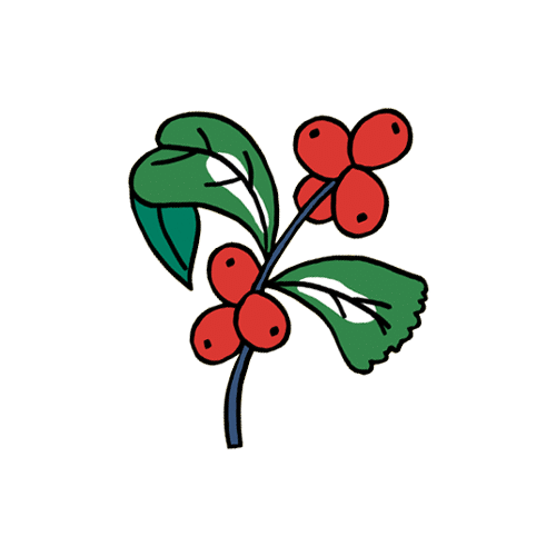 دانه های سبز پارتاک